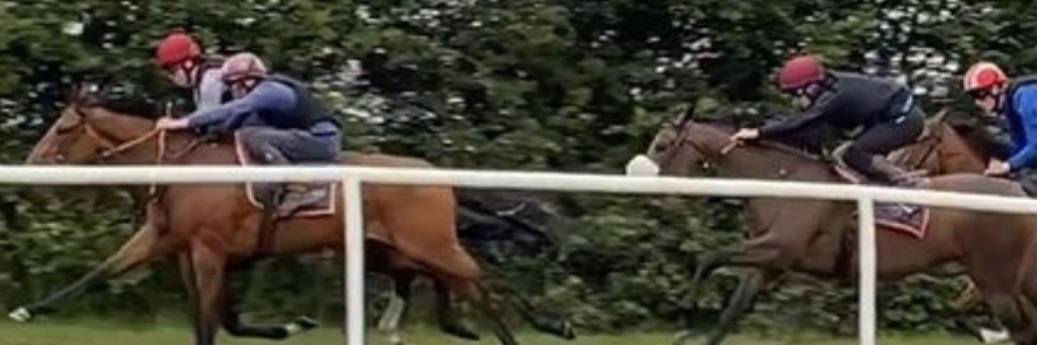 AnnieEddery's profile banner image