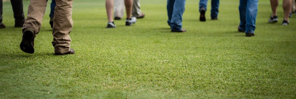 MSTurfAssociation banner