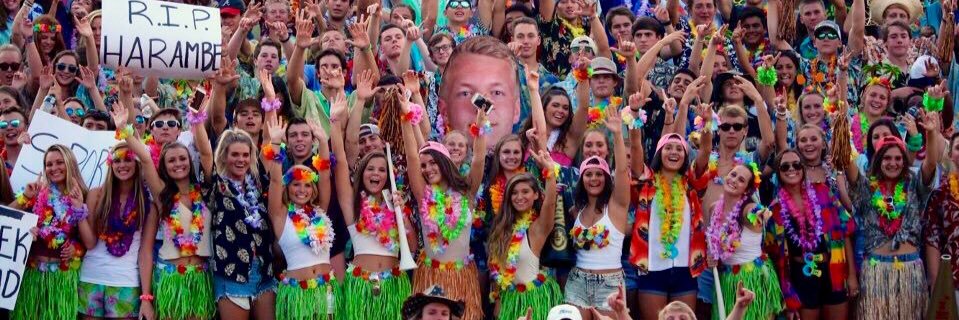 GladiatorArmy's profile banner image