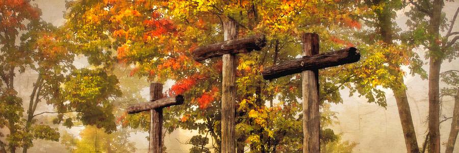 cass_schroeder's profile banner image