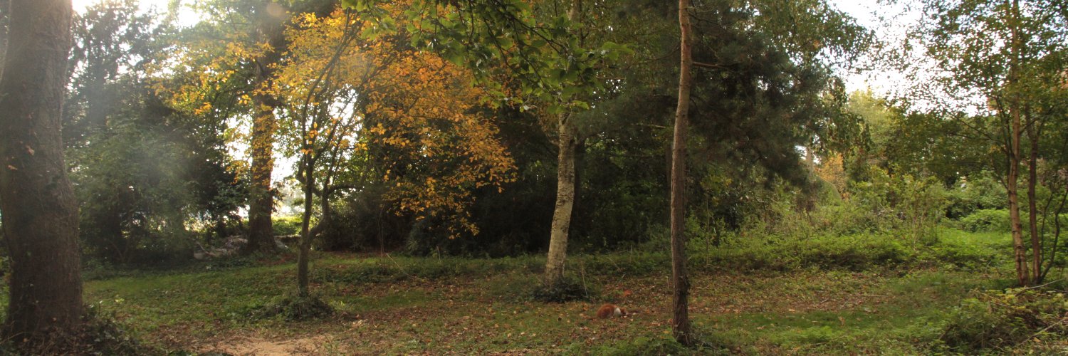 BenZissimos's profile banner image