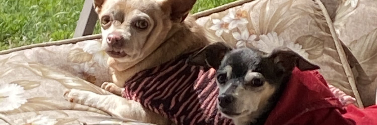tabbycat79's profile banner image