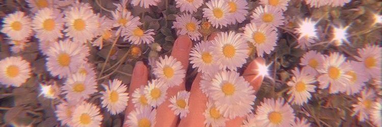 labrianty's profile banner image
