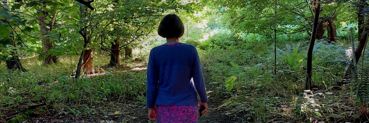 Bella34💙🍃🦔🦡 banner