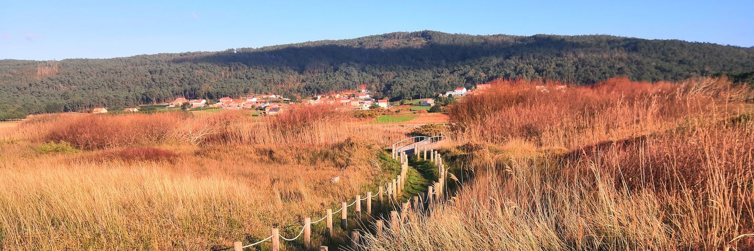 Jacob Insua-Rodríguez banner