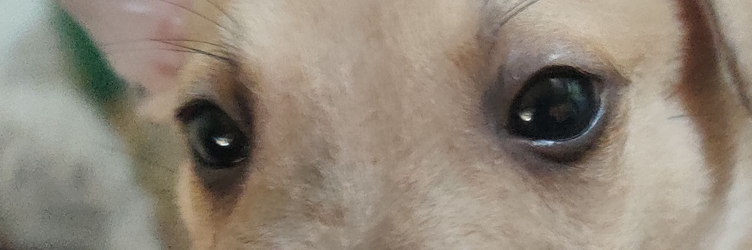 UncleJegs's profile banner image