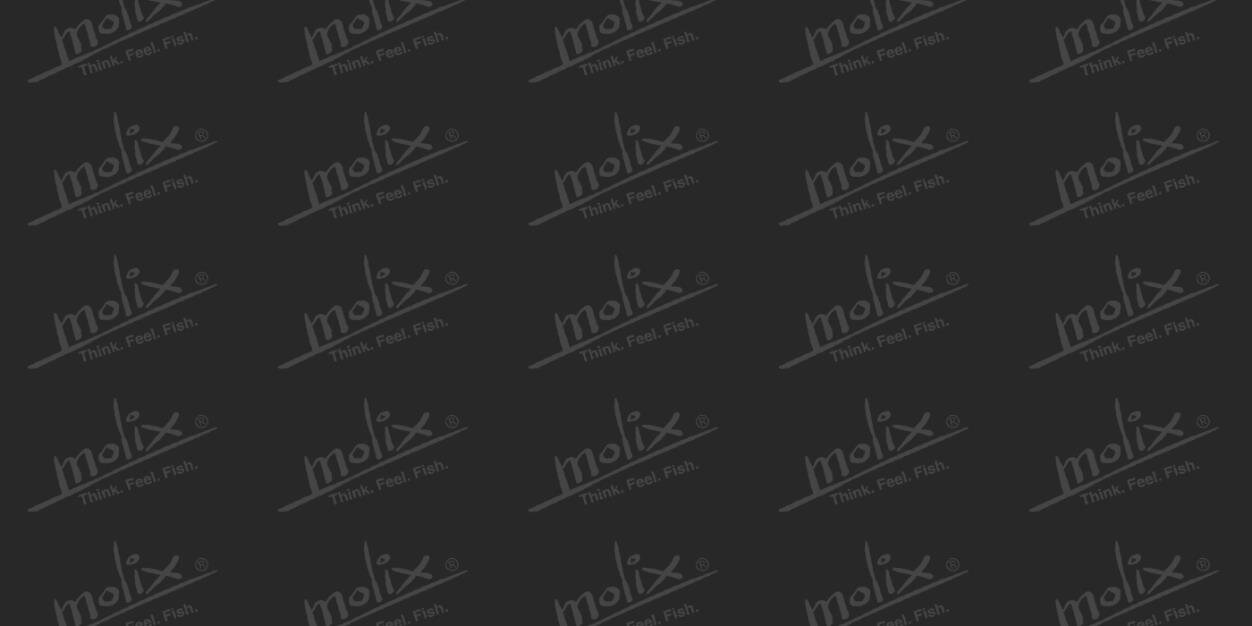 MolixJapan's profile banner image