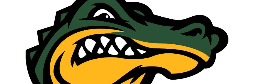 Lady Gator Basketball banner