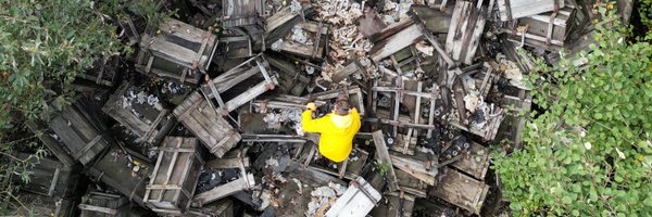 daratah Profile Banner