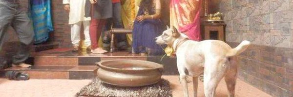 Satoruci3 Profile Banner