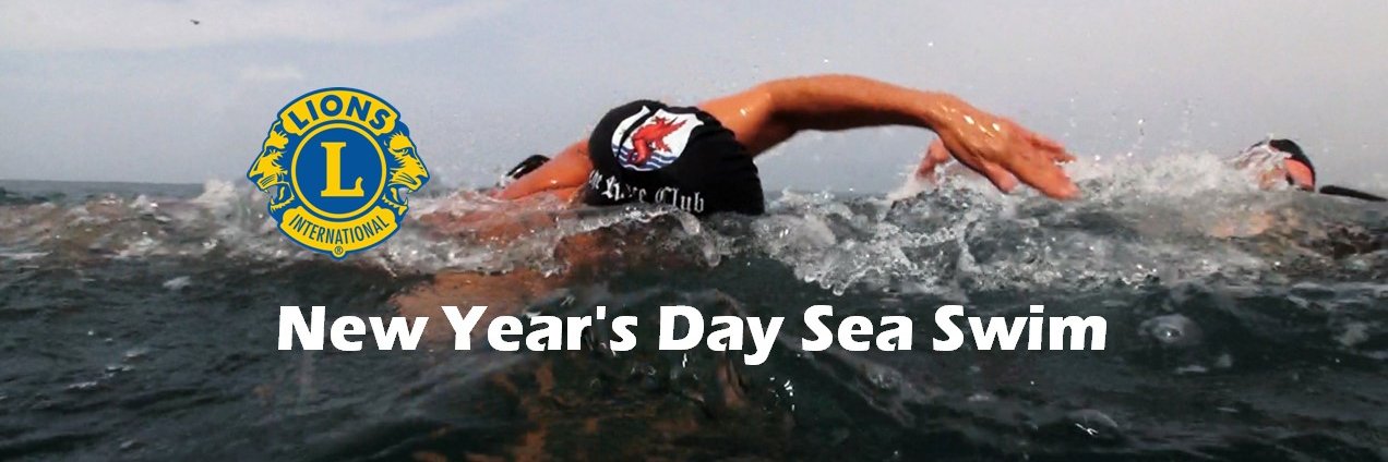 Bray Sea Swim banner