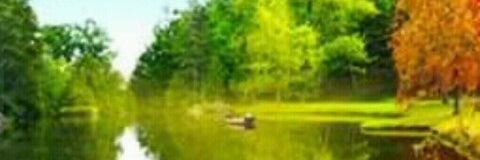 RenZz_L's profile banner image
