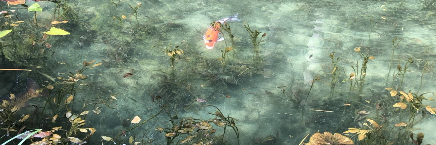 s8ggo's profile banner image