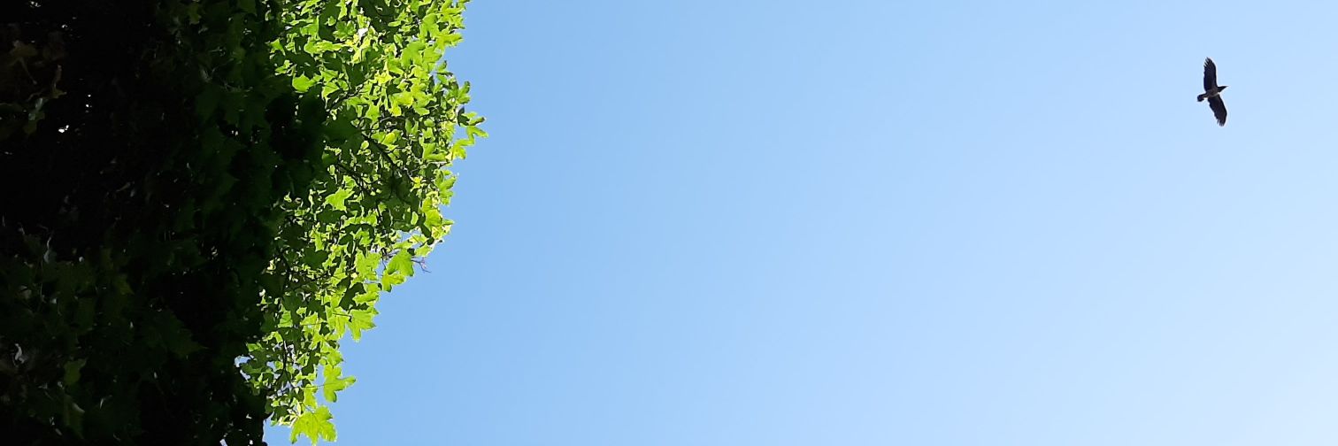 yarobabiar's profile banner image