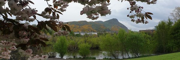 SophieFQuick Profile Banner