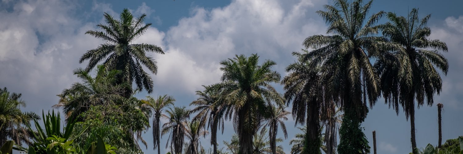 ChrisRookus's profile banner image