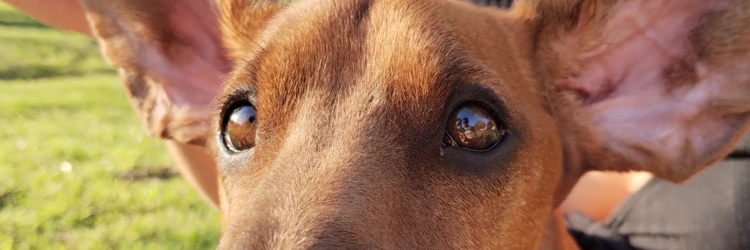 Aaroncba22's profile banner image