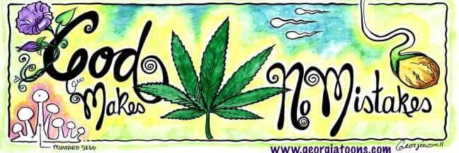 420CCN's profile banner image
