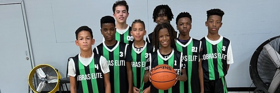 Stlcobrasbasketball banner