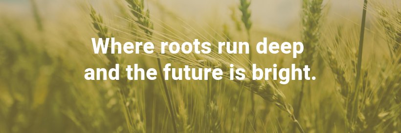 Lethbridge County banner