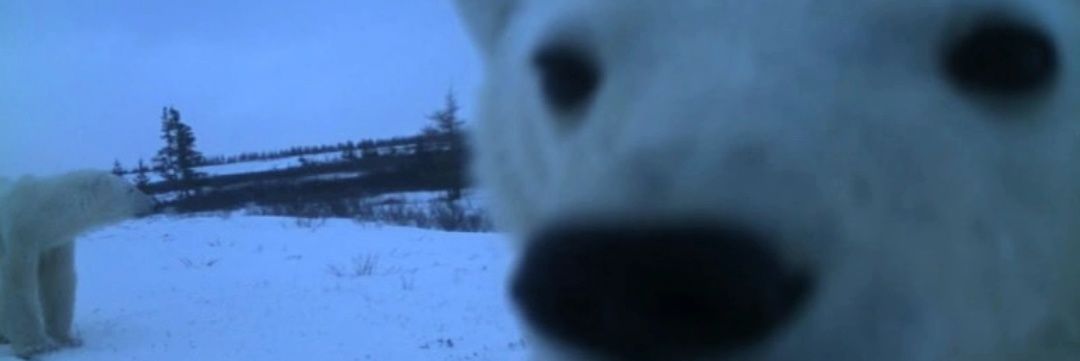 HotBolt11's profile banner image