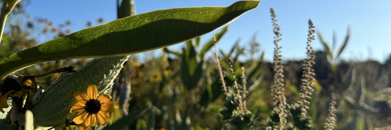 rust belt city girl banner
