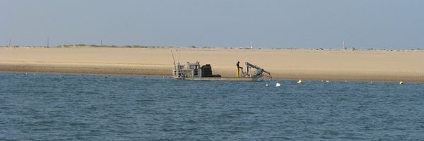 iarzul Profile Banner