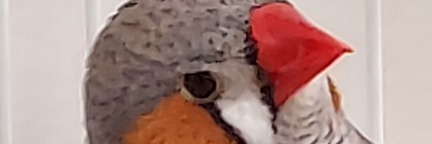 chillphantomx's profile banner image