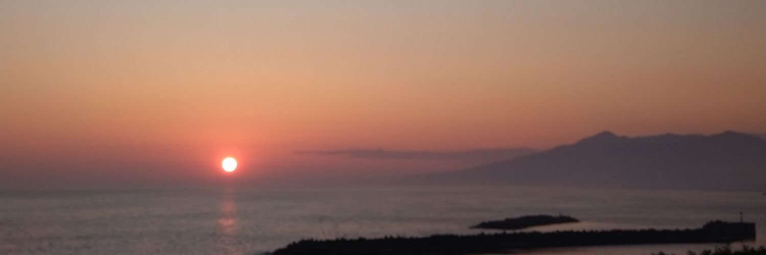 シロゴマ's banner