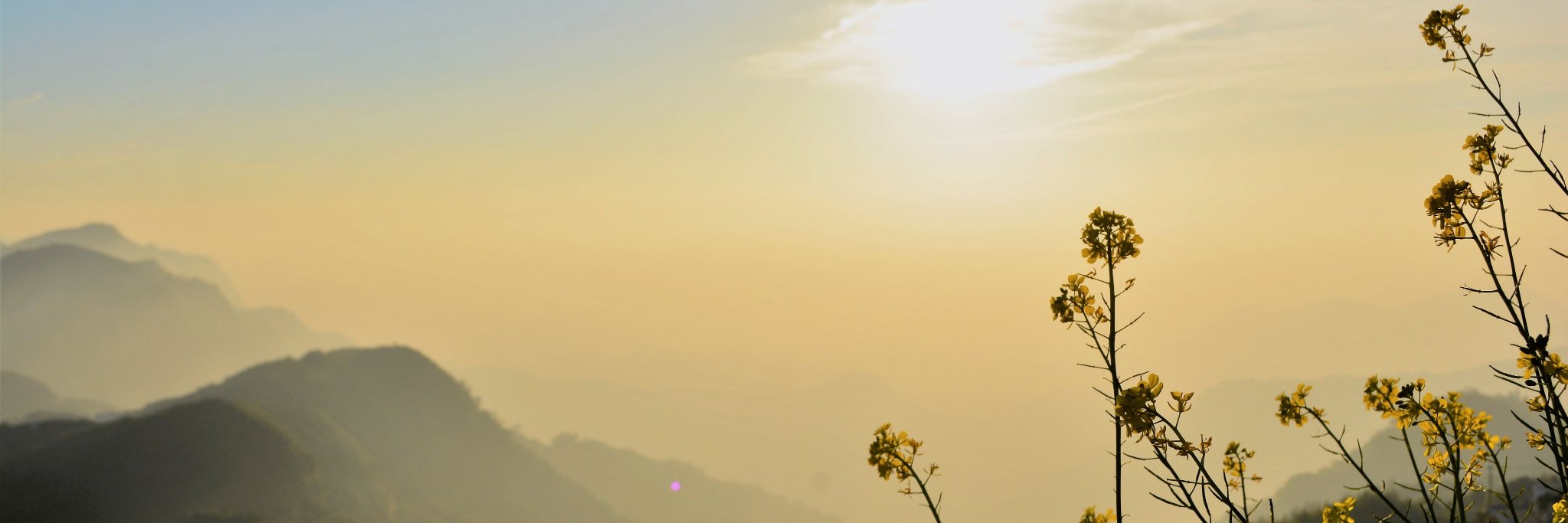 annescrambled's profile banner image