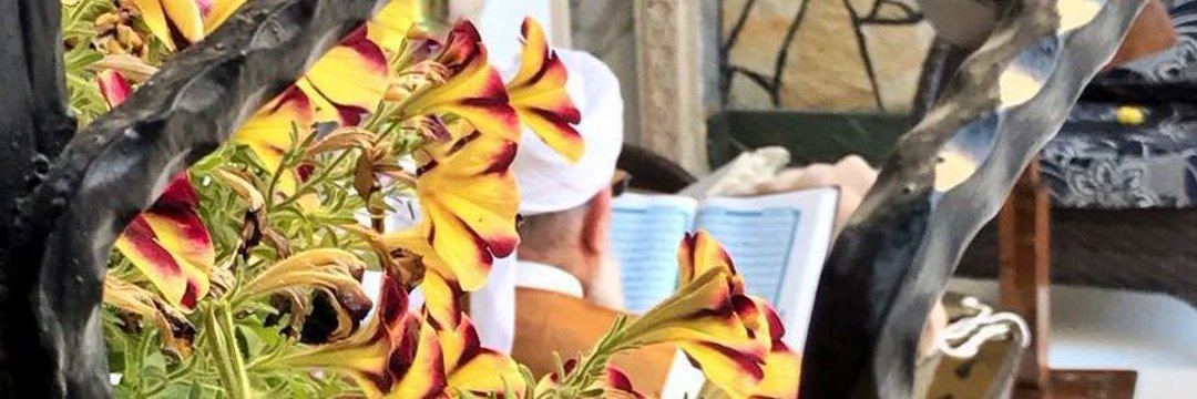 neredebuyusuf's profile banner image