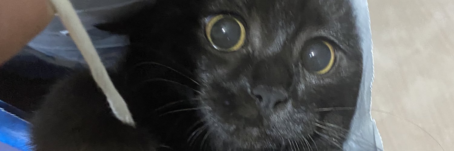 GamzeGedik's profile banner image