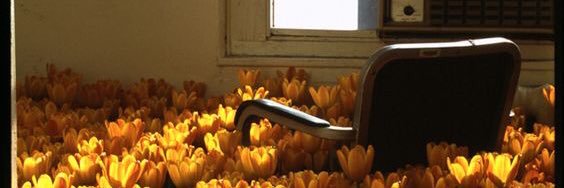 Mindfulspace Co. banner