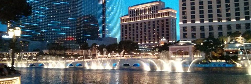 TheTelminator banner