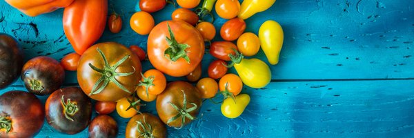 Liza_R_Barbour Profile Banner