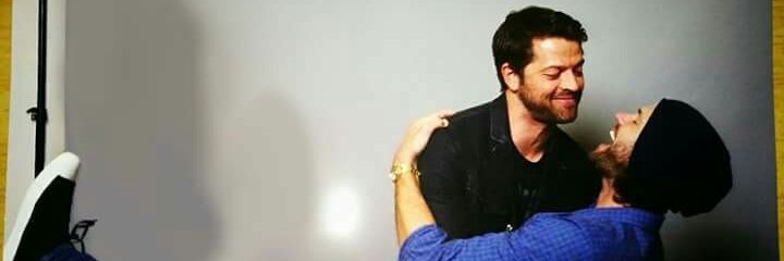 IFollowTheBees's profile banner image