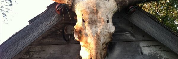 bs_simba Profile Banner