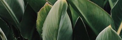 ً banner