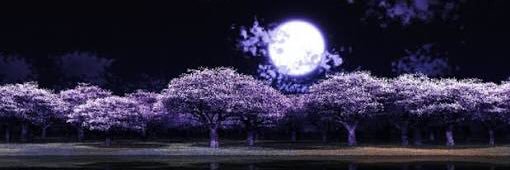 Reg_Biene's profile banner image