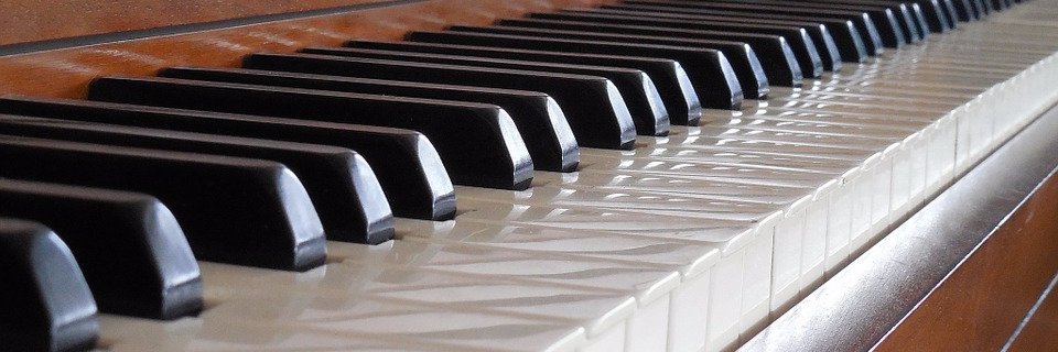 Catman's Choice banner