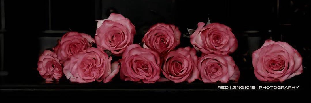 wafa_4o's profile banner image