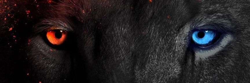 nacho366's profile banner image