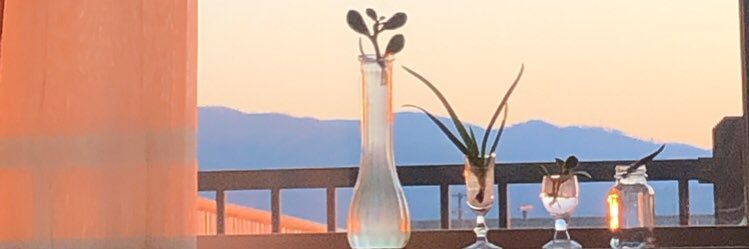 TheRealAlmaWray's profile banner image