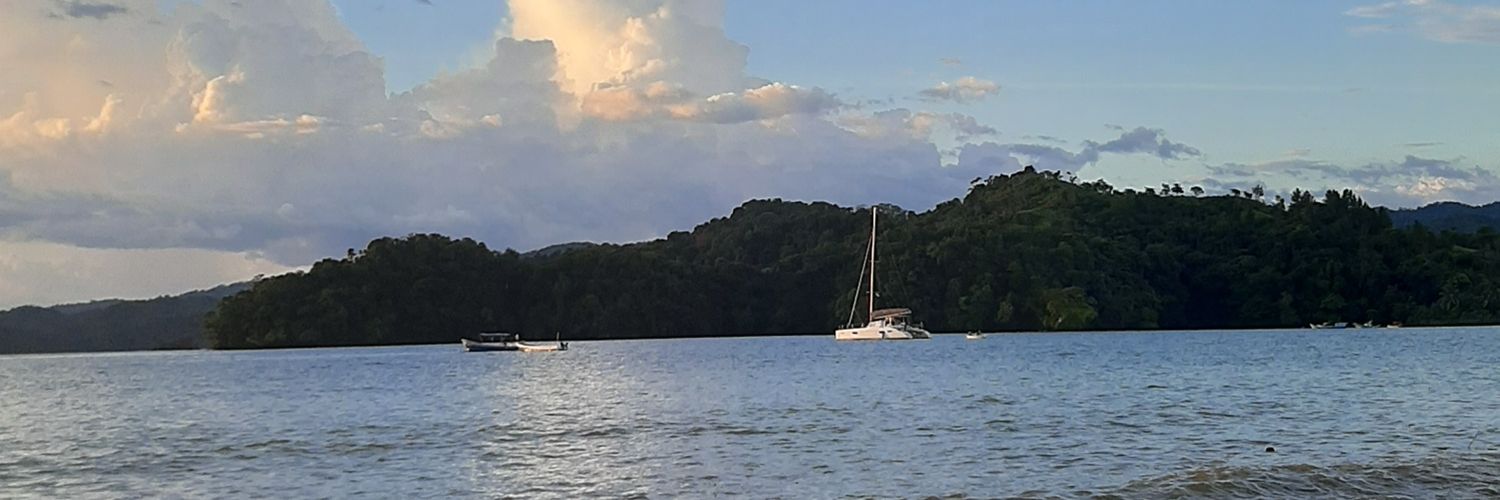 AlbinR_10's profile banner image