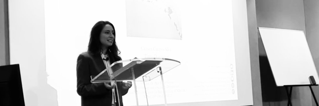 Carmencsv's profile banner image