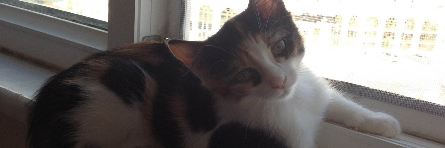 TALHABLT's profile banner image