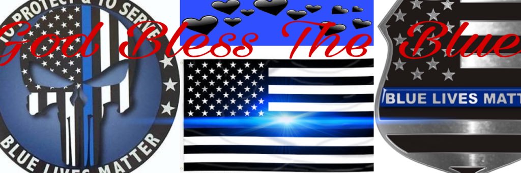 TJ Lady MAGA Rebel 🇺🇸 H₂O's banner