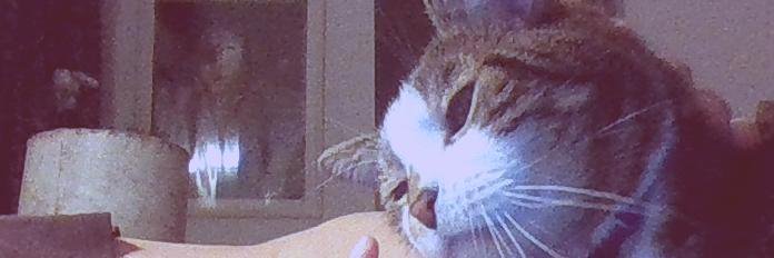 Janie Unknown Writes banner