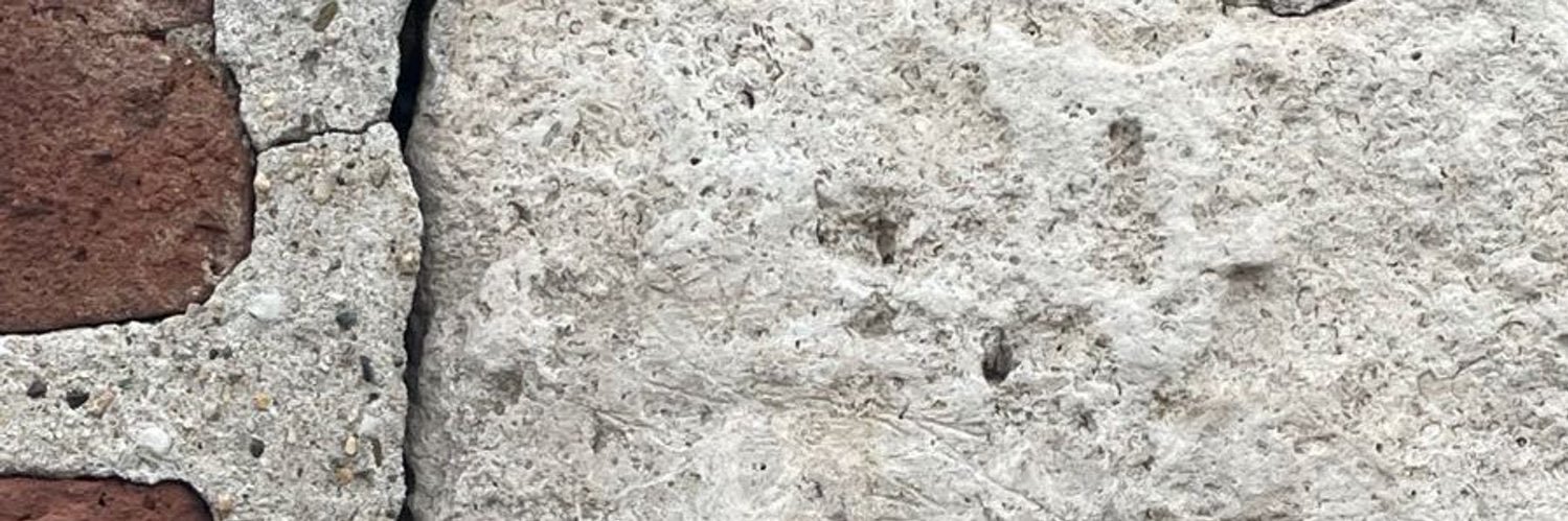 Les tourments de l’âme solitaire banner