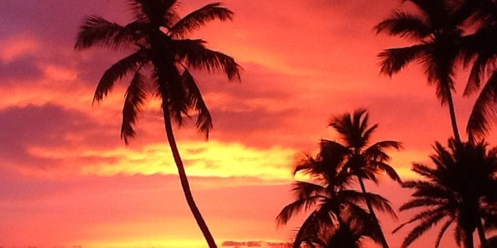 REinNaplesFL's profile banner image